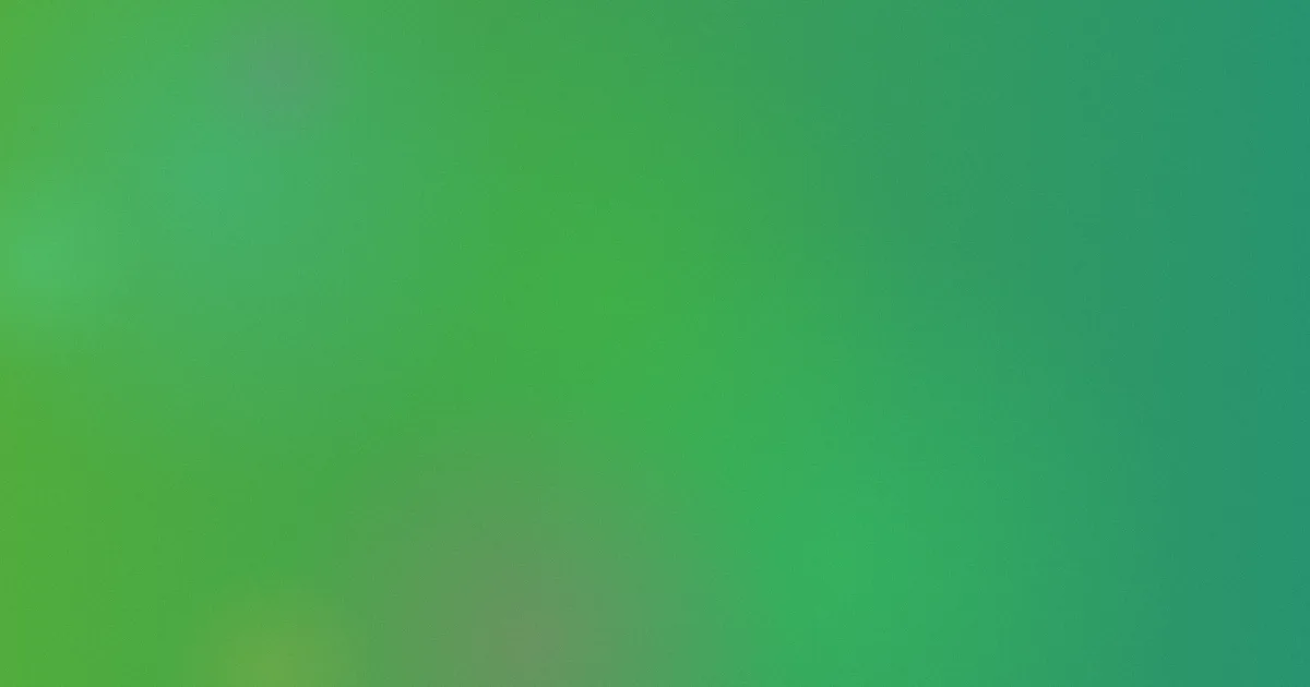 印度毛片攻略：横向对比